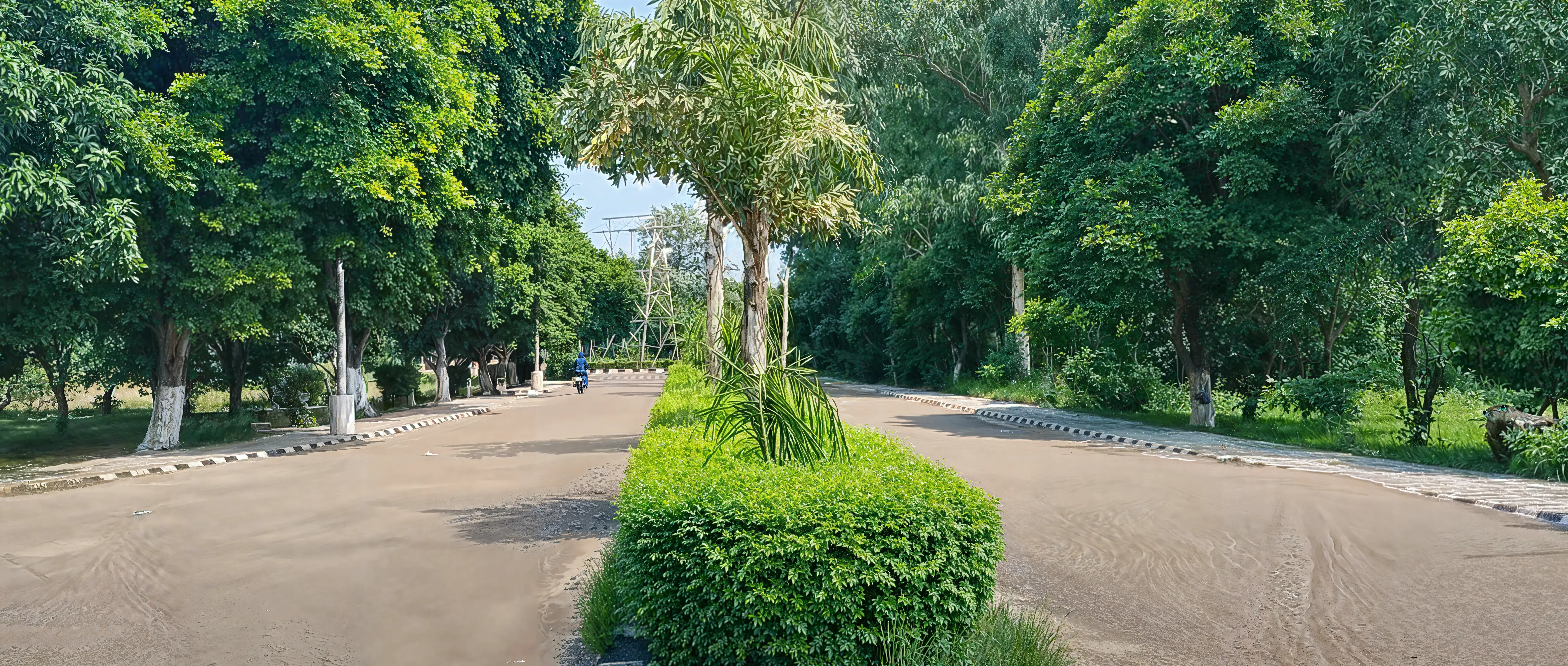 NIT Jalandhar Campus photo 28